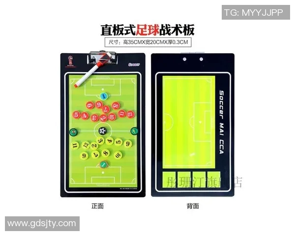 北京排球队防反体系解析：排球战术的创新与应用探讨