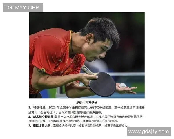 北京羽毛球队意识表现分析：战术执行与团队协作的深度探讨